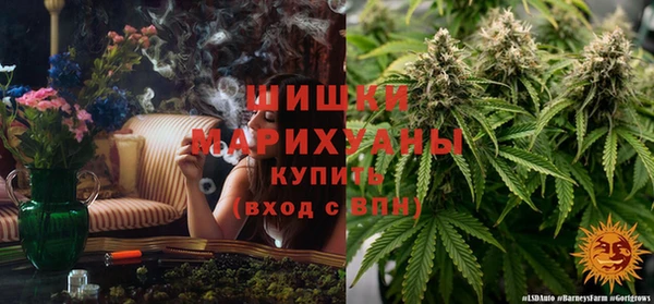 шишки Алексин