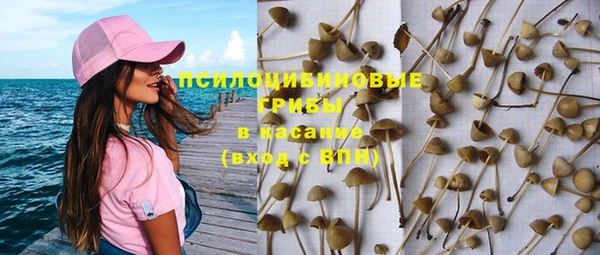 шишки Алексин