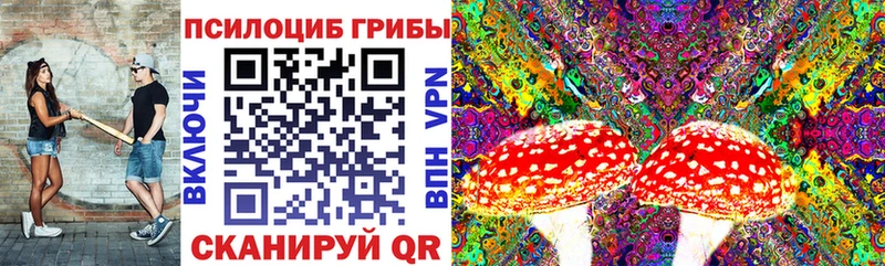 Псилоцибиновые грибы Magic Shrooms  MEGA как войти  Карабулак 