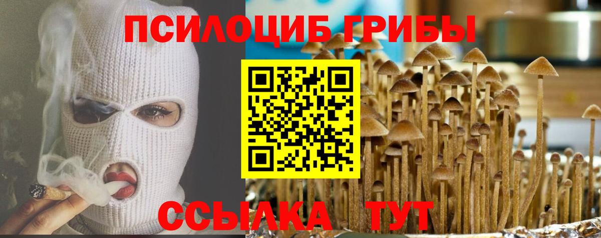 Карабулак  Галлюциногенные грибы мицелий  Вход с VPN 